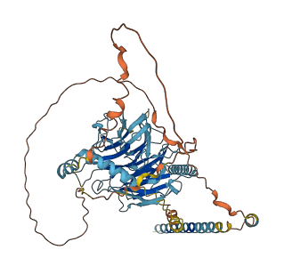 DYNC1I2 3D structure