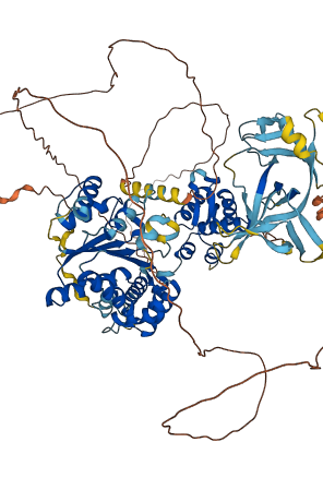 ORC1 3D structure