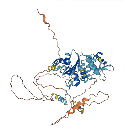 ORC2 3D structure