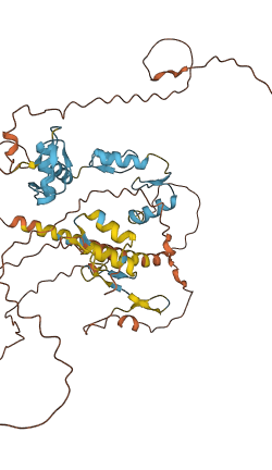 IKZF1 3D structure
