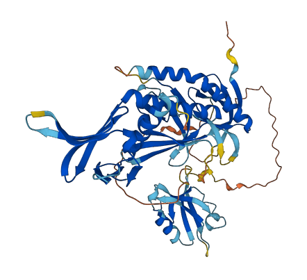 SNTA1 3D structure