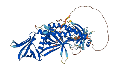 SNTB2 3D structure