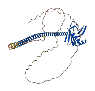 XRCC4 3D structure