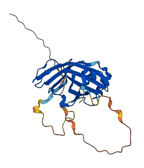 UNC119 3D structure