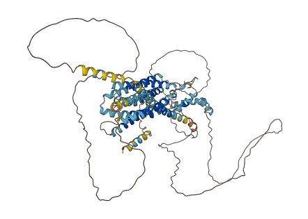 SLC39A6 3D structure
