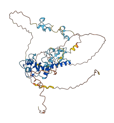 MKRN4P 3D structure