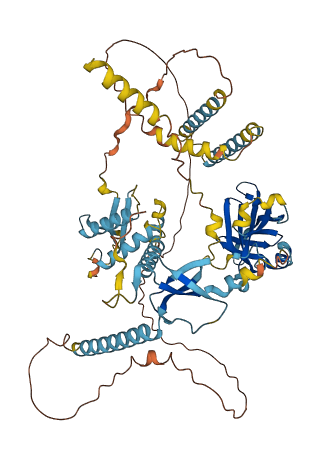 OS9 3D structure