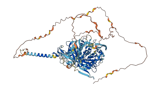 ADAM15 3D structure