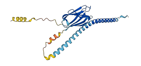 TMED1 3D structure
