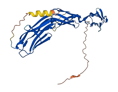 LSAMP 3D structure