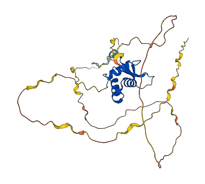 FOXE3 3D structure