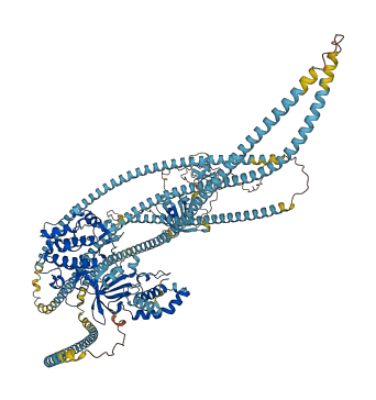 ROCK1 3D structure