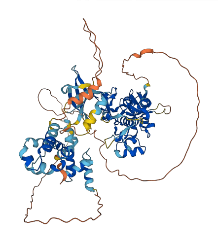 TNK1 3D structure