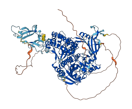 TOP3A 3D structure