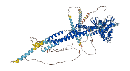 DRP2 3D structure