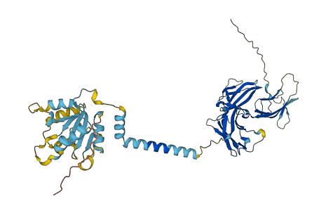 IL18R1 3D structure