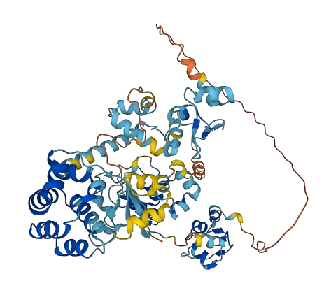 BIRC3 3D structure