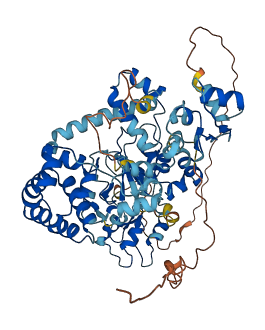 BIRC2 3D structure