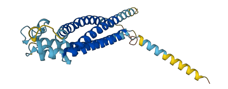 GPM6B 3D structure
