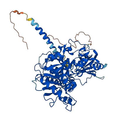 MTM1 3D structure