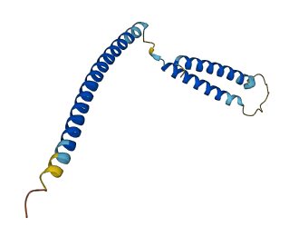 MED21 3D structure