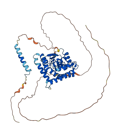 MTX1 3D structure