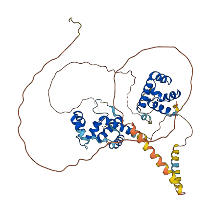 NAB1 3D structure