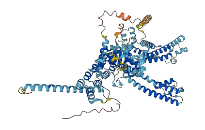 TRPC3 3D structure