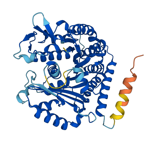 TUBB3 3D structure