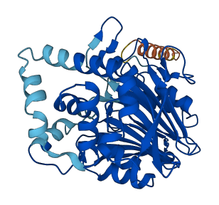 ASAH1 3D structure