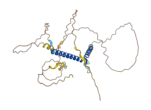 OLIG2 3D structure