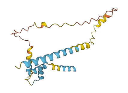 PNOC 3D structure