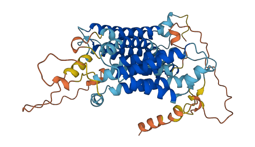 SERINC3 3D structure