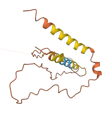 C1orf61 3D structure