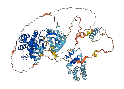 RIPK1 3D structure