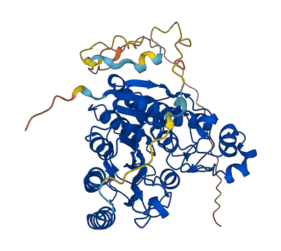 HDAC1 3D structure