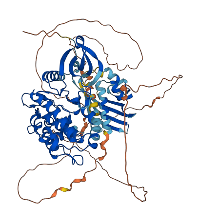 CAMK2B 3D structure