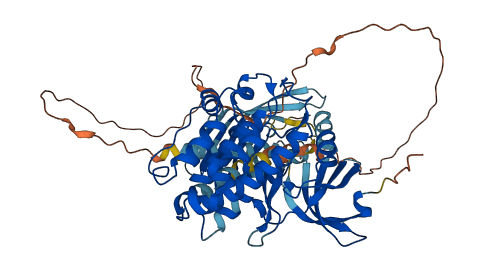 CAMK2G 3D structure