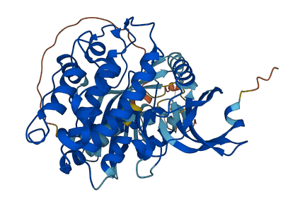 CAMK2D 3D structure