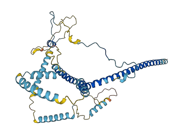 DCTN2 3D structure