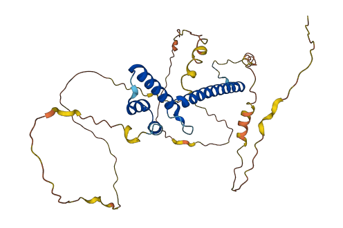 NEUROD1 3D structure
