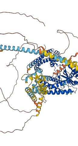 PKD2 3D structure