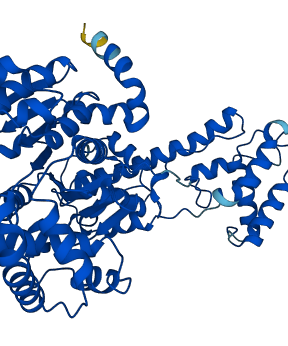 NAE1 3D structure