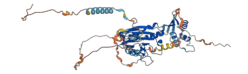 IRF5 3D structure