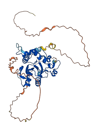 TDG 3D structure