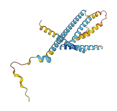 LAPTM5 3D structure