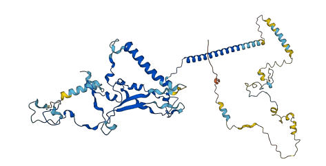 SNW1 3D structure
