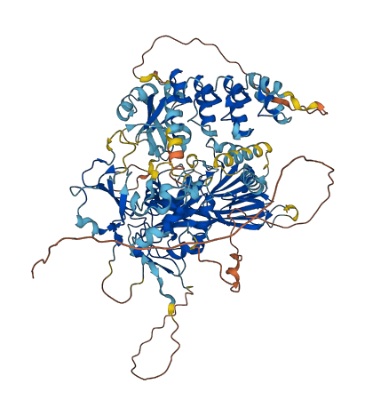 DGKZ 3D structure