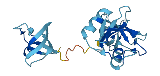 GRAP 3D structure