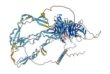 SEMA5A 3D structure